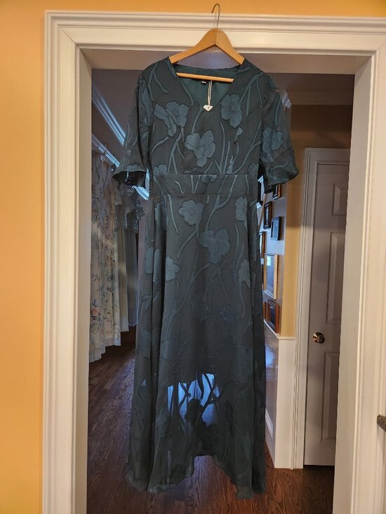Dresses & Skirts - Women's semi formal dress